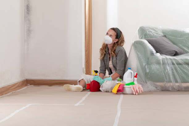 Reliable Mold Cleanup contractor in Yorktown, VA by Cheap Mold Removal